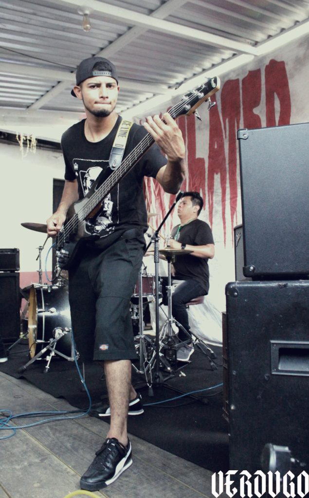 imagen
                                        galeria