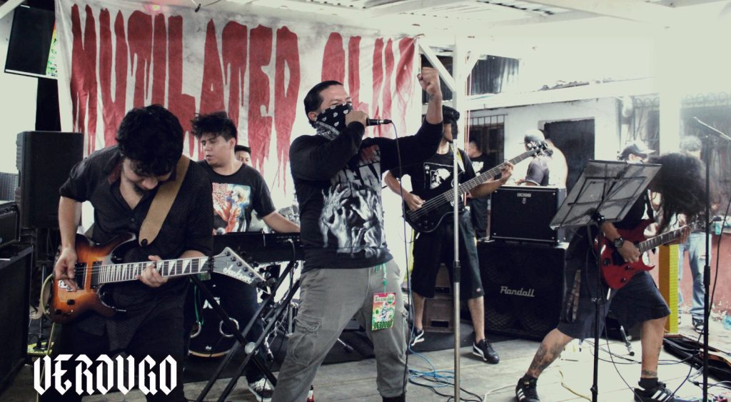 imagen
                                        galeria