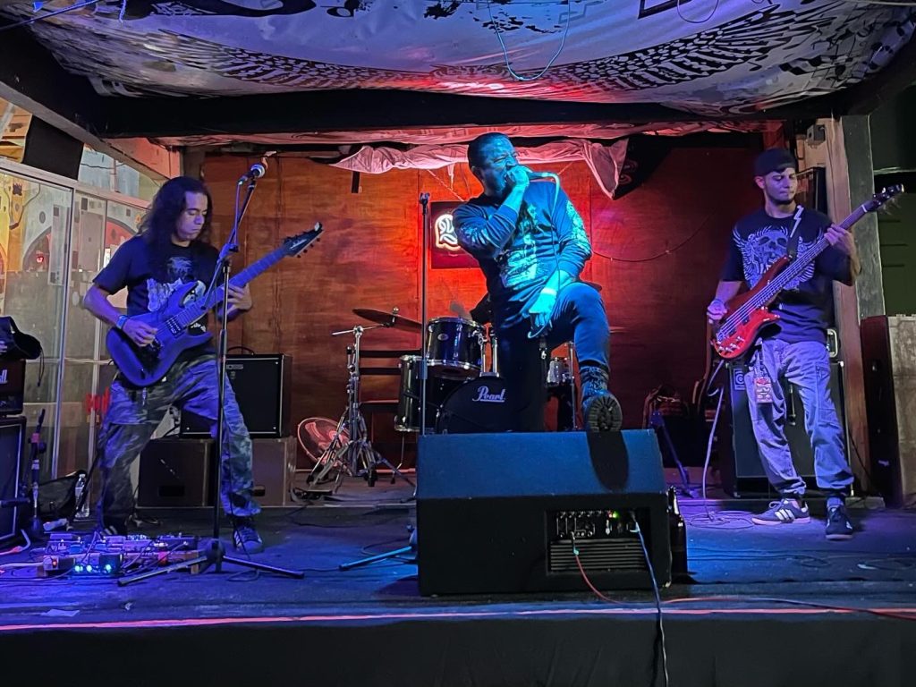 imagen
                                        galeria