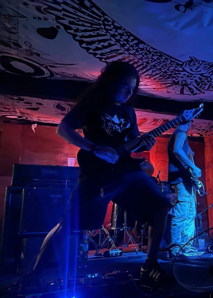 imagen
                                        galeria