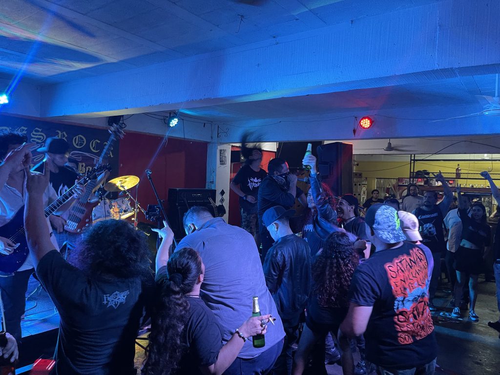 imagen
                                        galeria